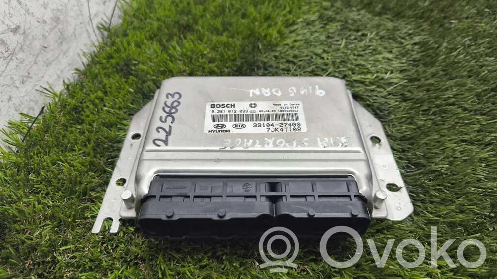 Engine control unit/module   0281012099