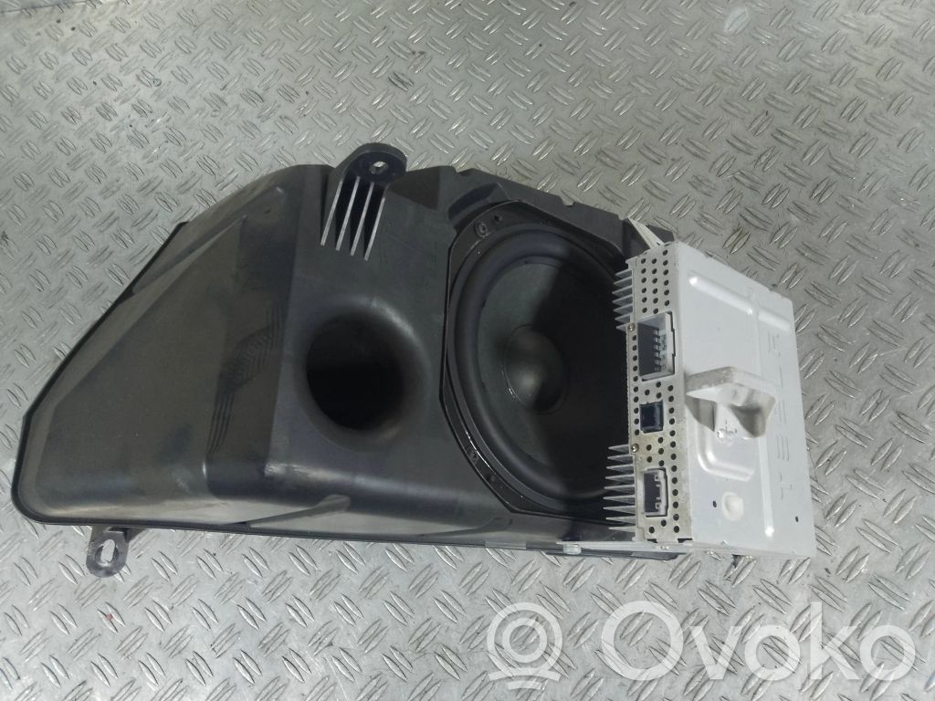 Tesla Model 3 Subwoofer 