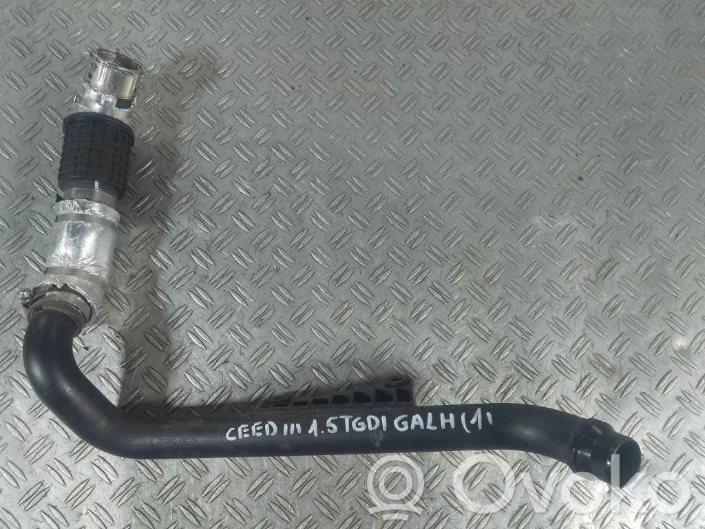 KIA Ceed Intercooler hose/pipe 