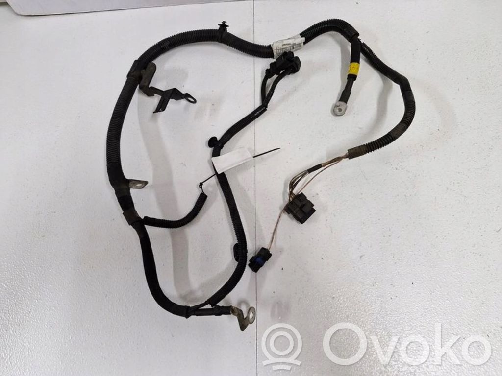 Citroen DS4 Arnés/cableado de puerta delantera 