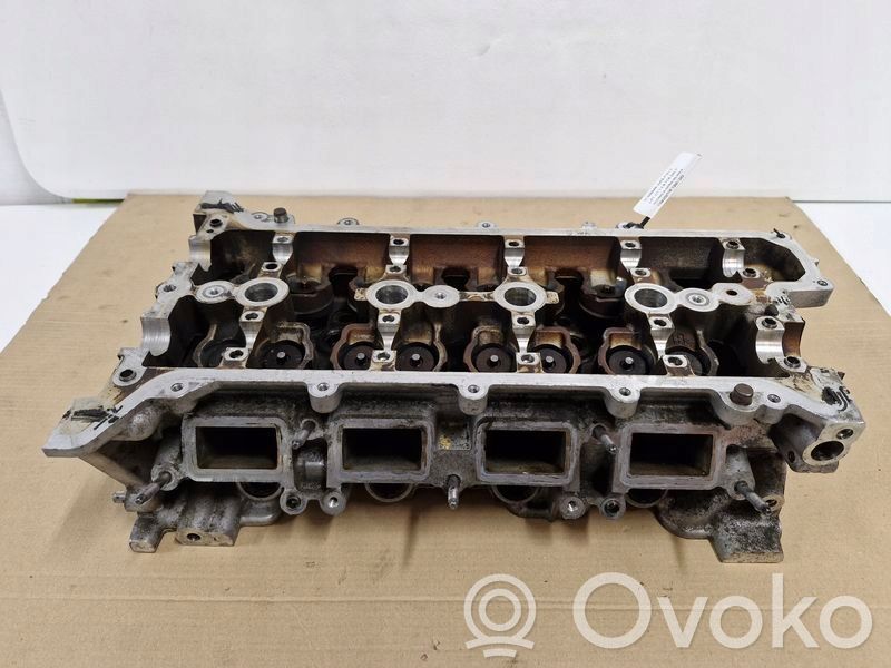 Nissan Juke I F15 Galva 