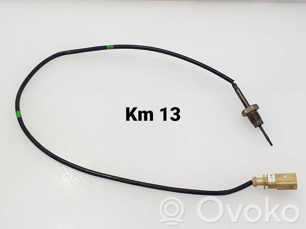 Volkswagen Tiguan Išmetamųjų dujų temperatūros daviklis 