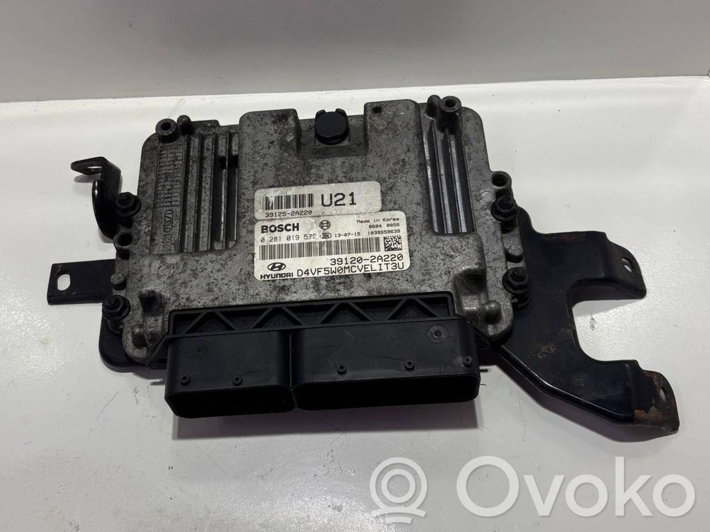 Engine control unit/module   391202A220,391252A220,0281019572