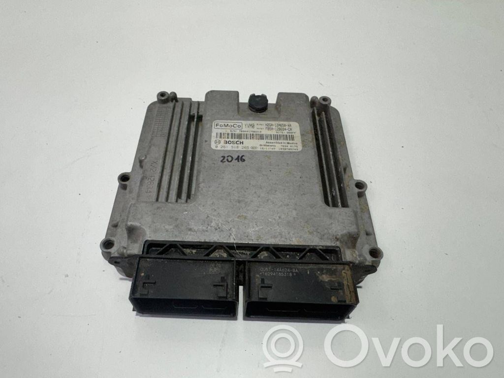 Unidad de control/módulo del motor   FB5A12B684CA,H2GA12A650XA,0261S18265