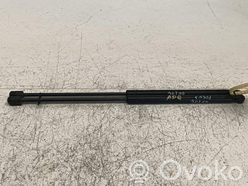 Tailgate/trunk strut/damper