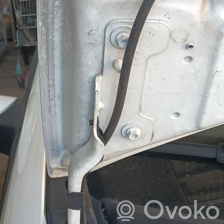Renault Clio III Balamale capotă 