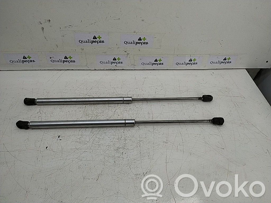 Tailgate/trunk strut/damper