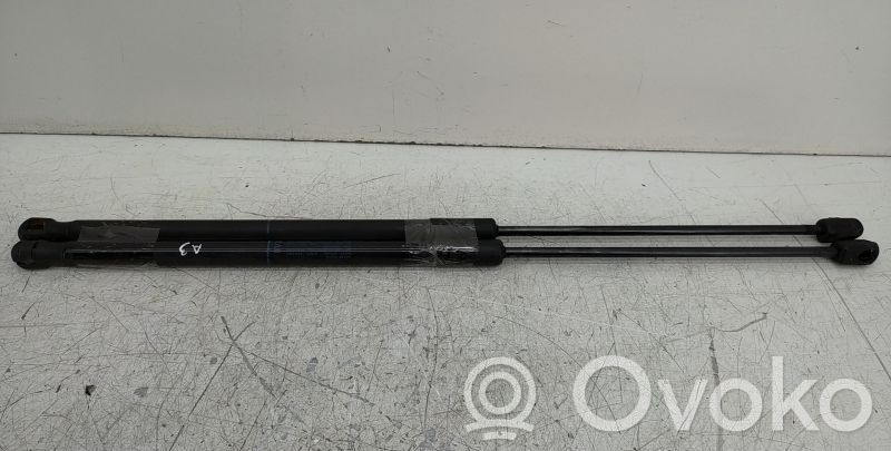 Tailgate/trunk strut/damper   AMORTECEDORES
