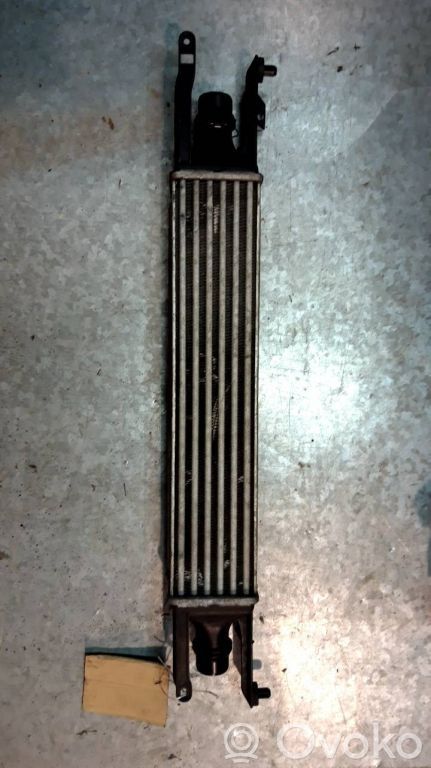 Interkūlerio radiatorius