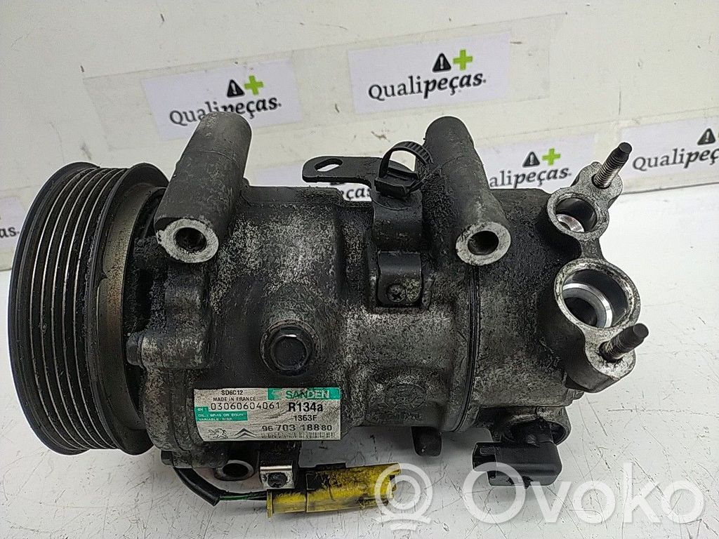 Klimakompressor Pumpe   9670318880,1363F