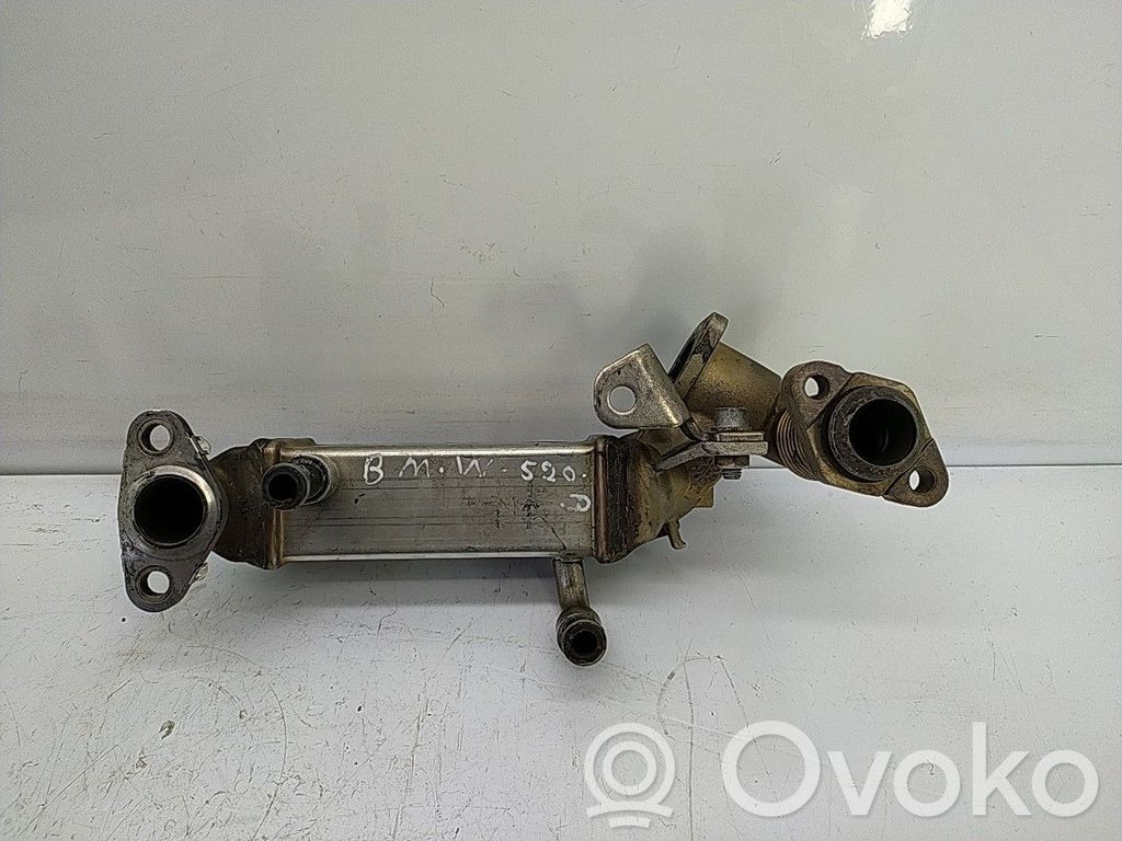 BMW 5 E39 Supapă EGR 