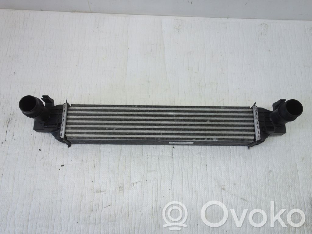 Intercooler radiator   53332934