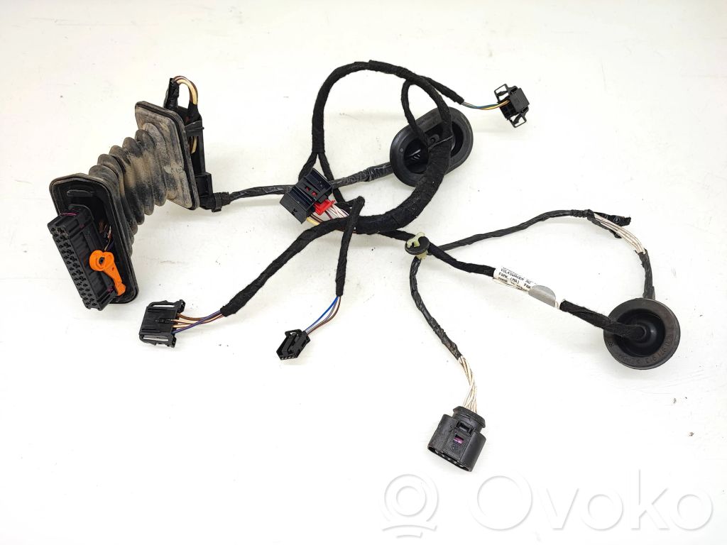 Volkswagen PASSAT B7 Cableado de puerta trasera 
