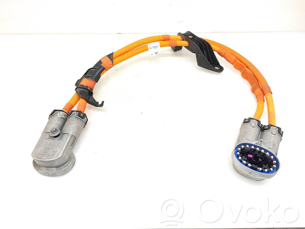BMW i4 Other wiring loom 