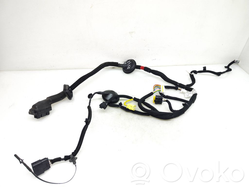 KIA Niro Cablaggio porta anteriore