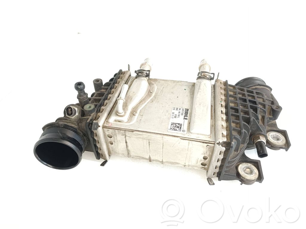 Volkswagen Transporter - Caravelle T6 Radiator intercooler 