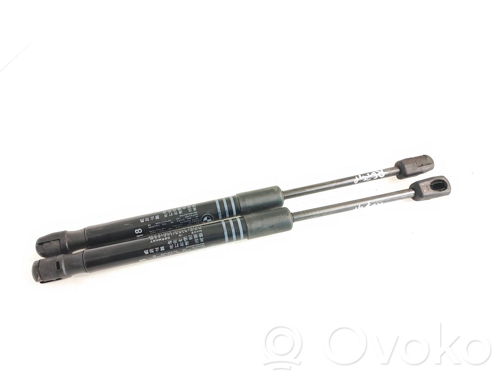 Siłownik maski przedniej   7309117,F1X06FKLA,2399640400N