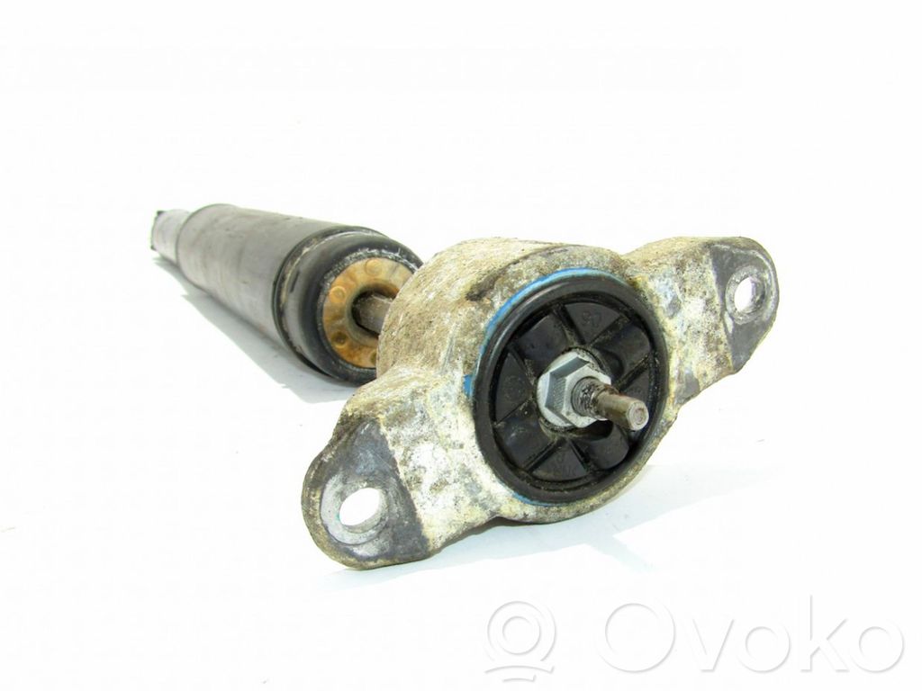 Aizmugurē amortizators   CV6118080ABB