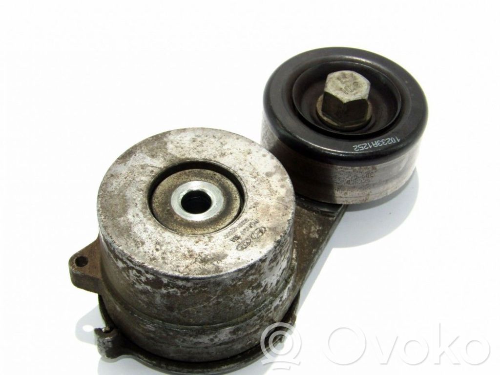 Tensor de la correa del alternador   252812F000