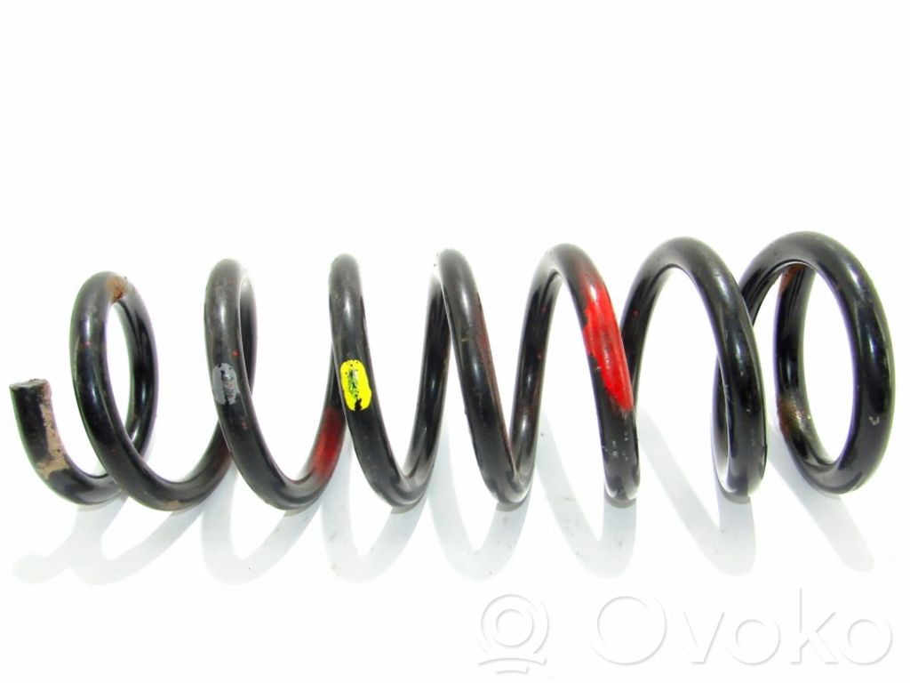 Rear coil spring