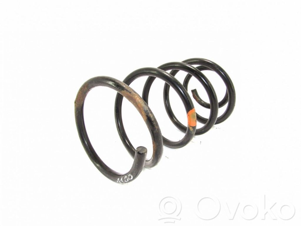 Front coil spring