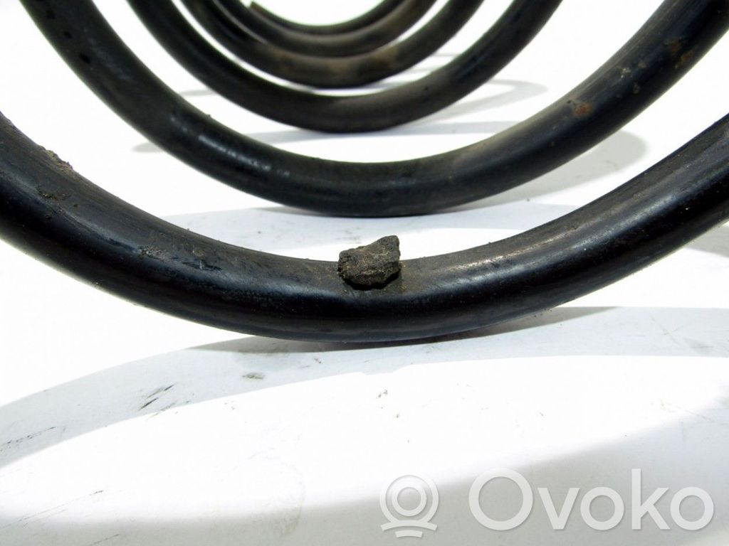 Front coil spring