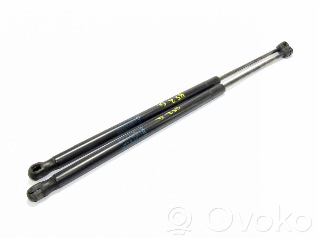 Tailgate/trunk strut/damper   6001SK,0360N