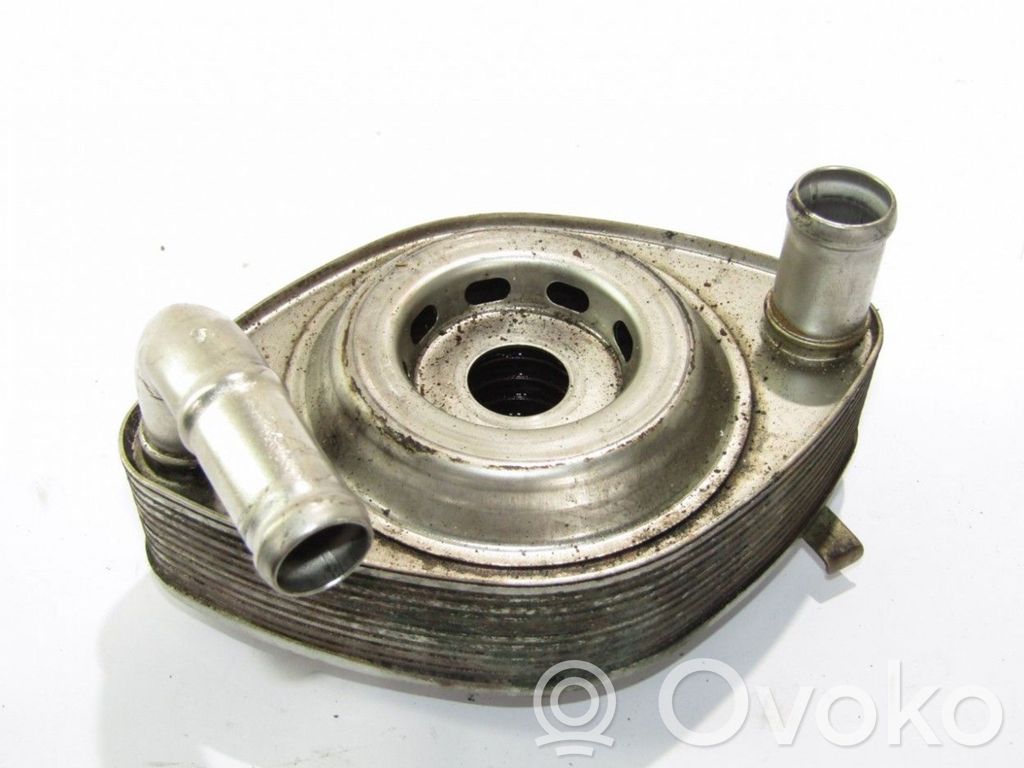 Oil filter mounting bracket