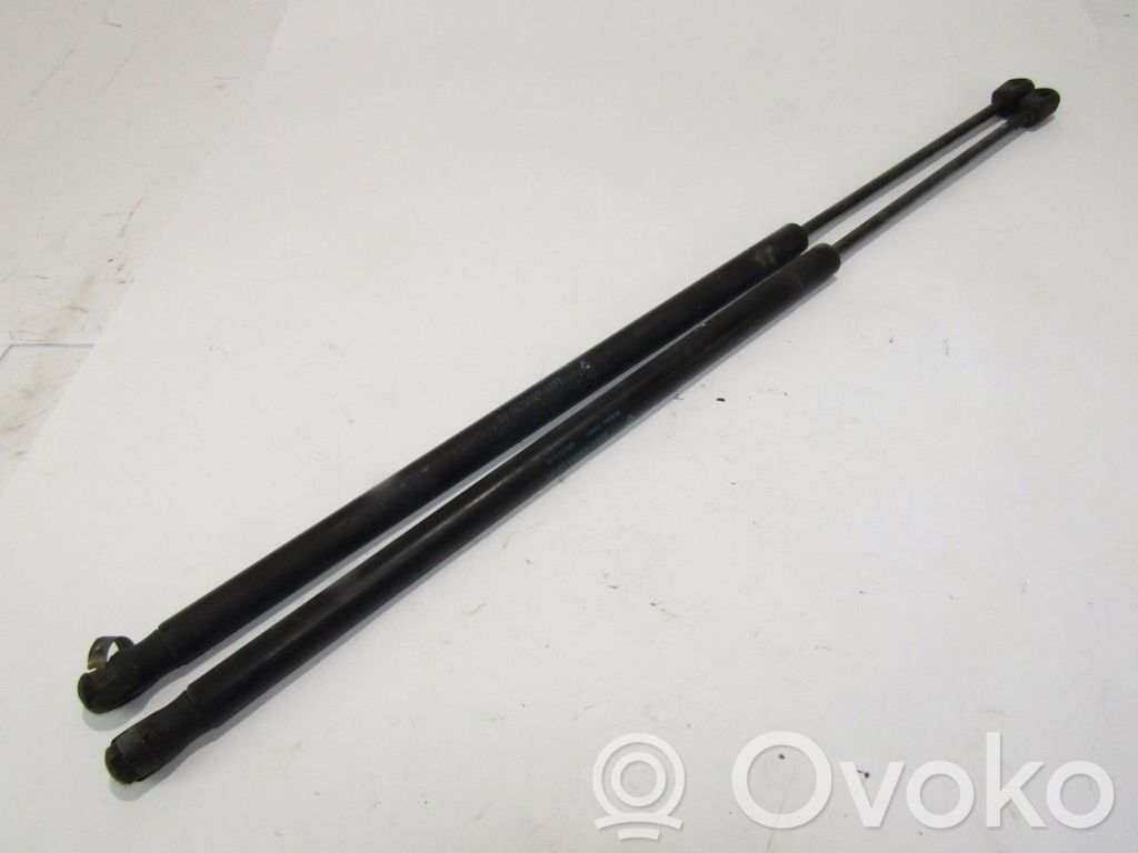 Tailgate/trunk strut/damper   2S61A406A10AC