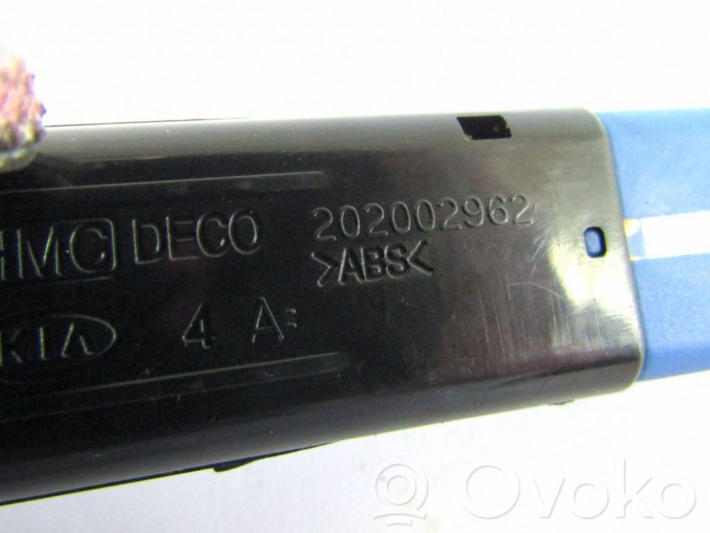 Hyundai Santa Fe Windscreen/window heater switch 