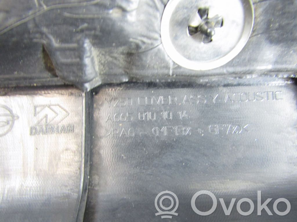 Engine cover (trim)   A6650101014