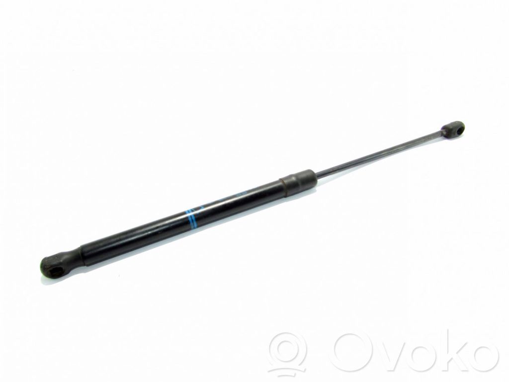 Tailgate/trunk strut/damper   13122695