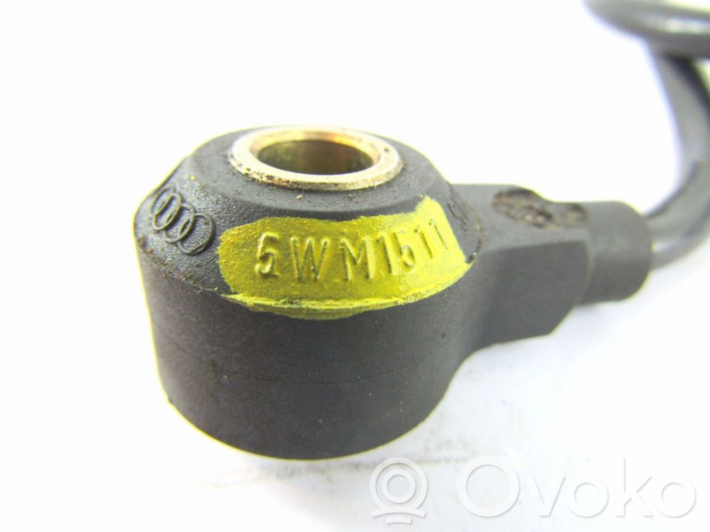 Volkswagen PASSAT B5 Klopfsensor 