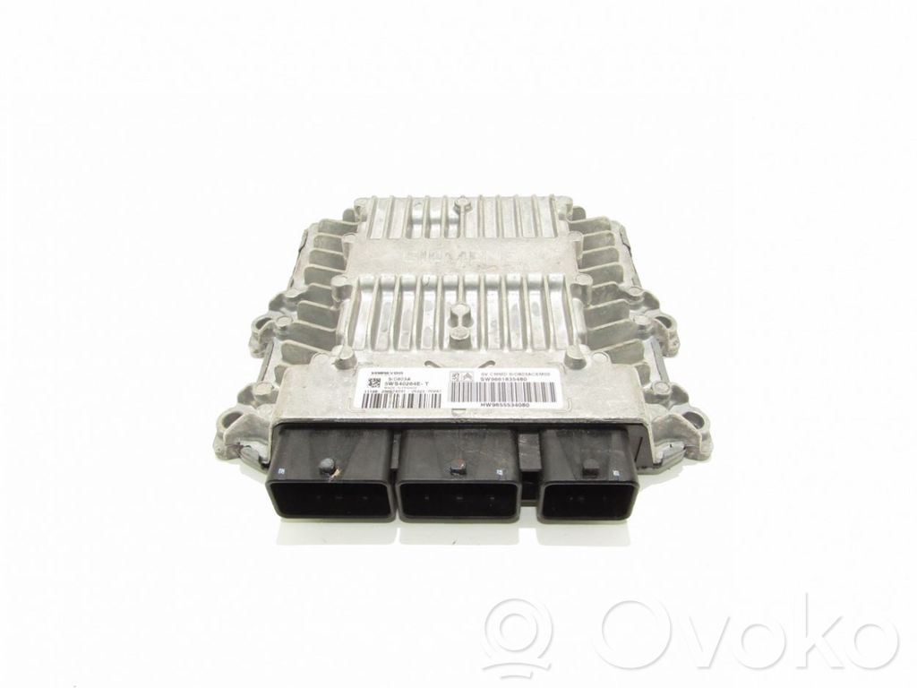 Peugeot 407 Engine control unit/module 
