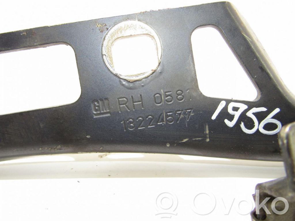 Cerniere del vano motore/cofano   13224577