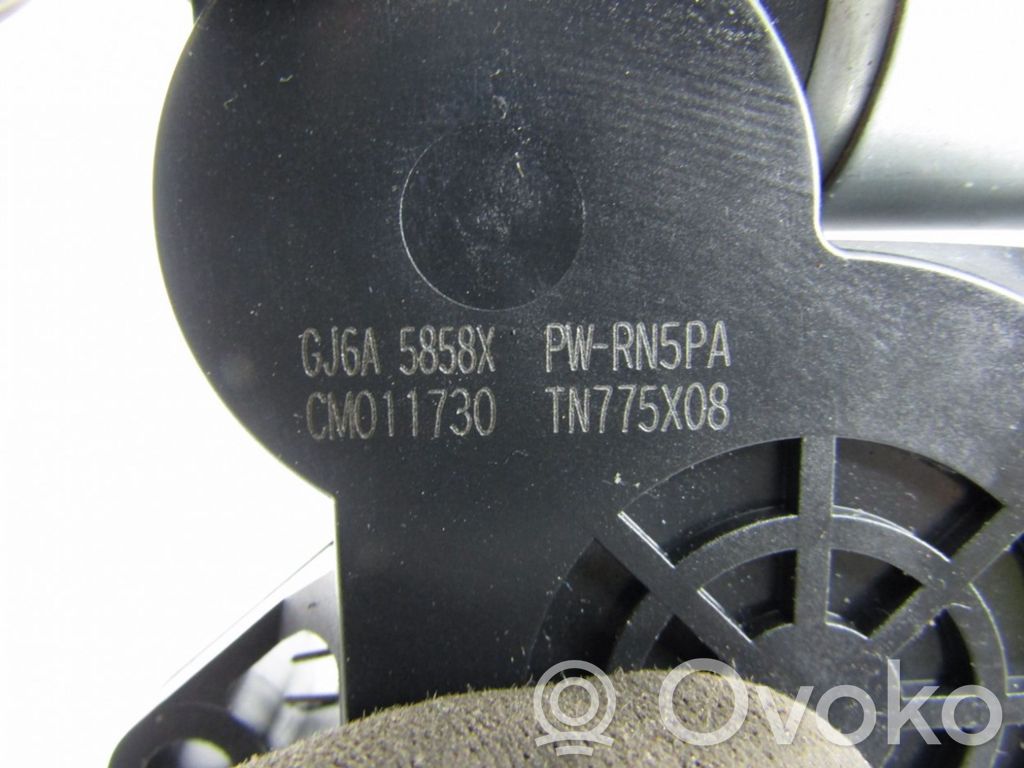 Asa reguladora de la puerta trasera   CM011730,TN775X08