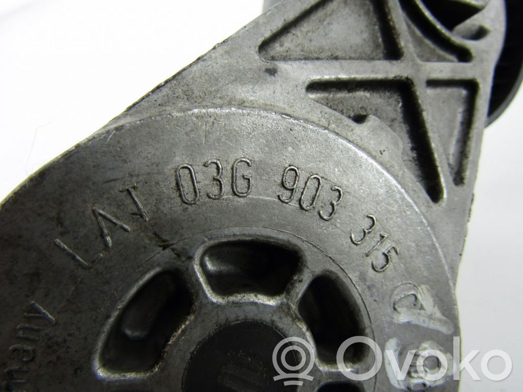 Întinzător curea alternator   03G903315C