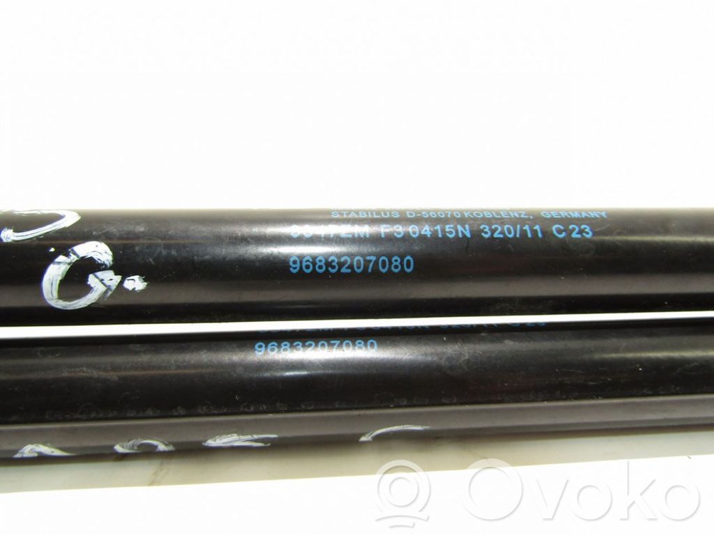 Peugeot 3008 I Ammortizzatore portellone posteriore/bagagliaio 