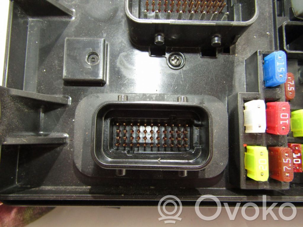 Fuse module   919504D050