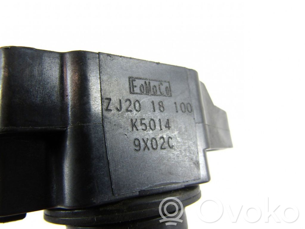 High voltage ignition coil   ZJ2018100