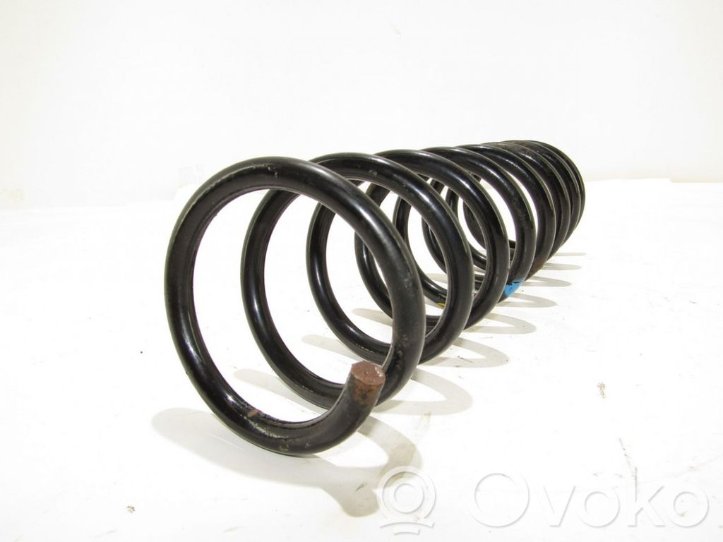 Muelle espiral trasero