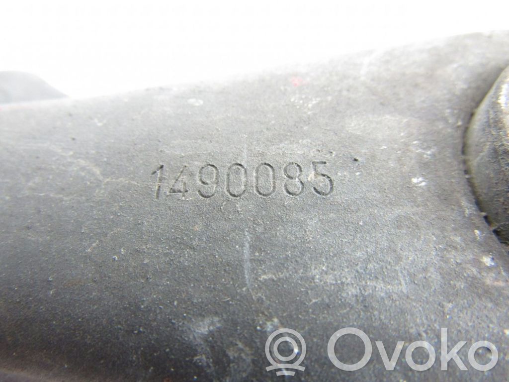 Galinė šakė   1490085