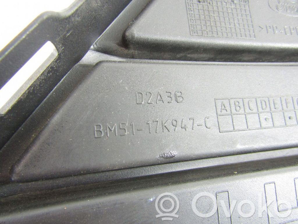 Ford Focus Atrapa chłodnicy / Grill 
