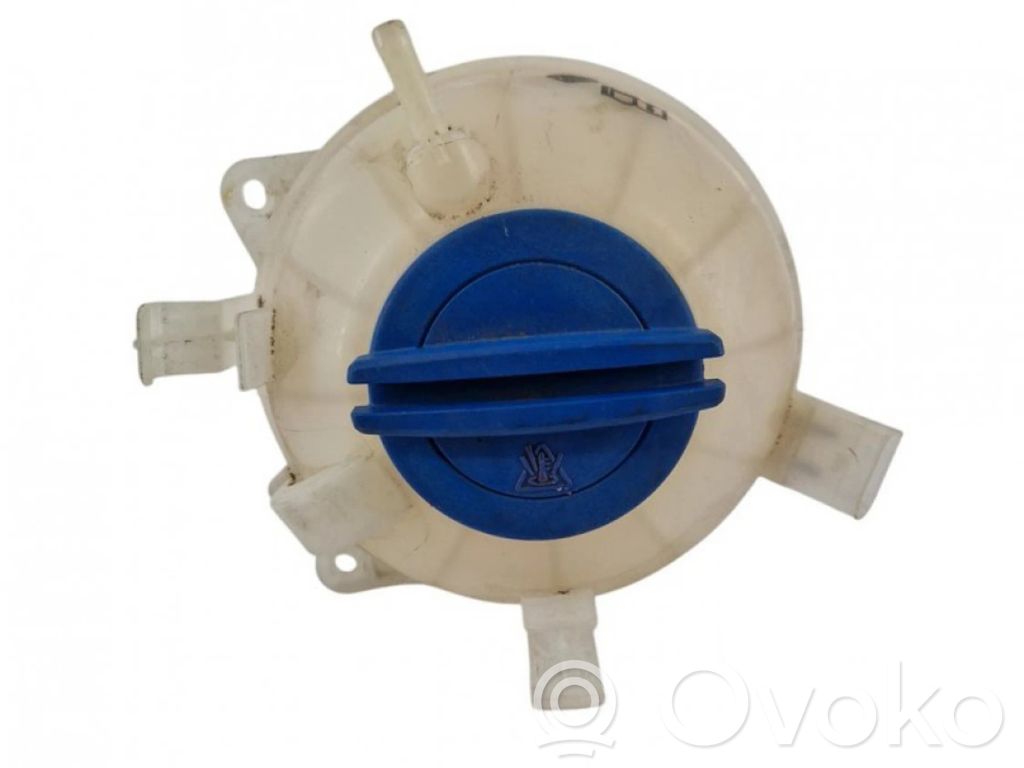Skoda Yeti (5L) Vas expansiune/rezervor lichid de răcire