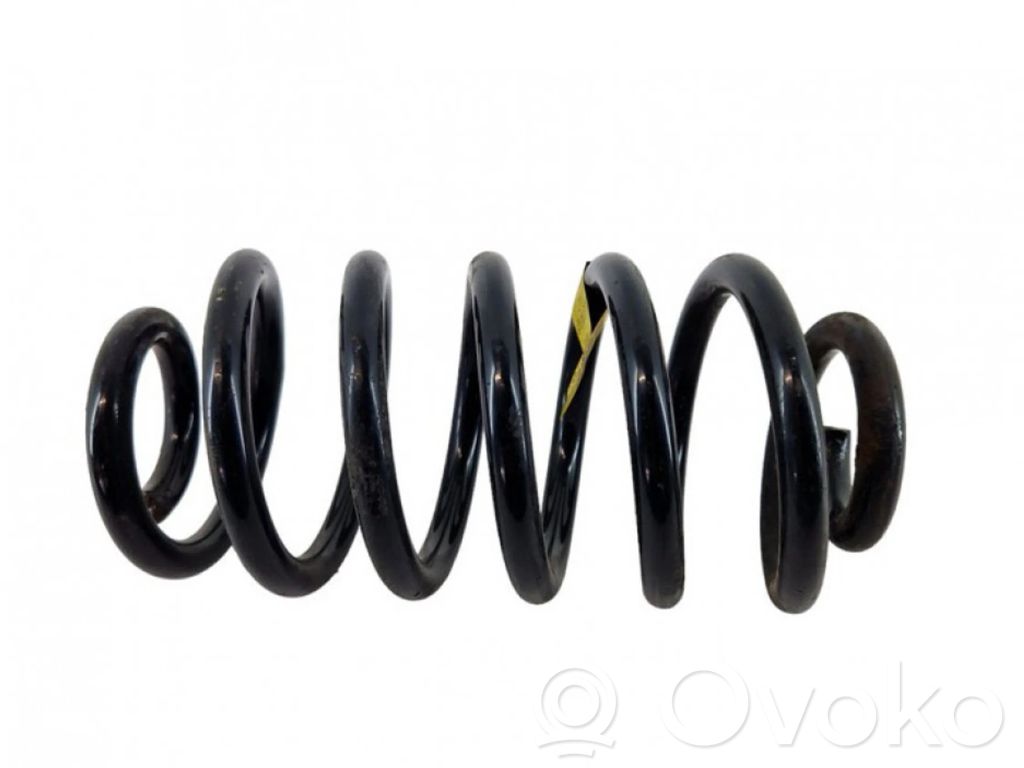Muelle espiral trasero   95107103