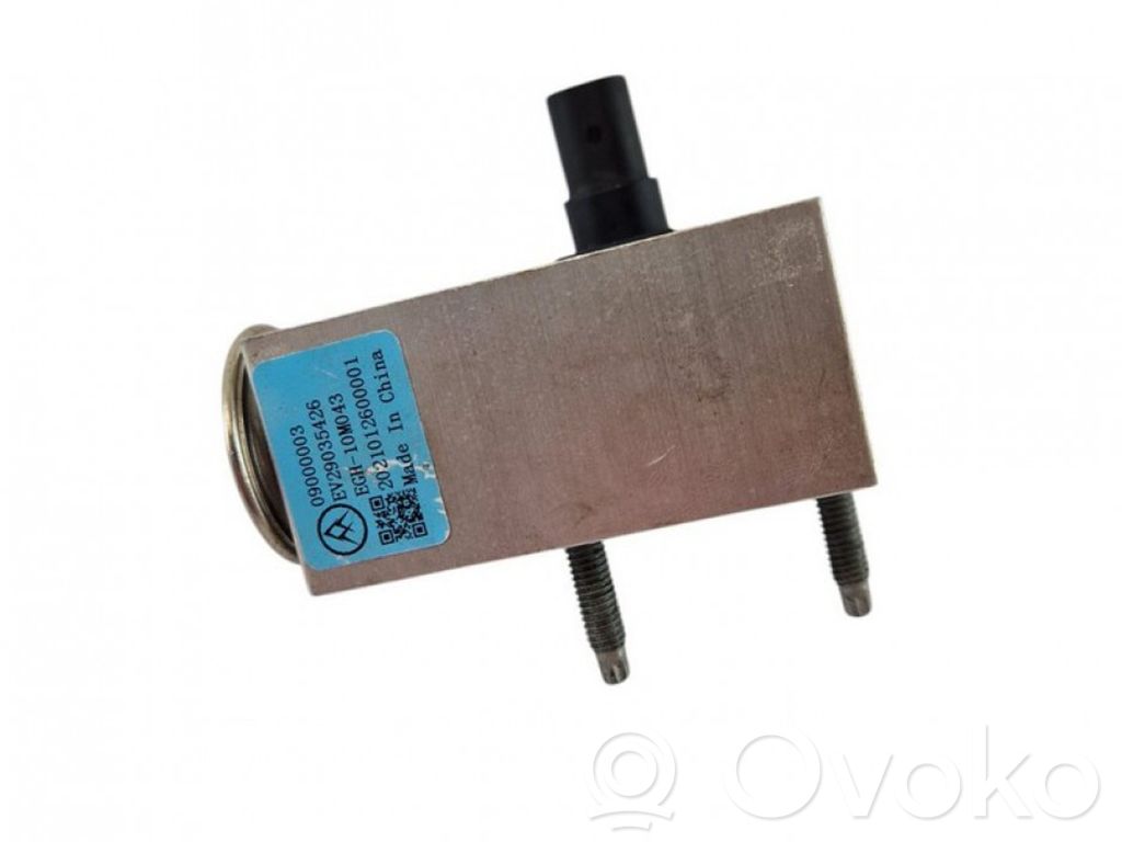 Détendeur de climatisation   09000003,EGH10M043,EV29035426