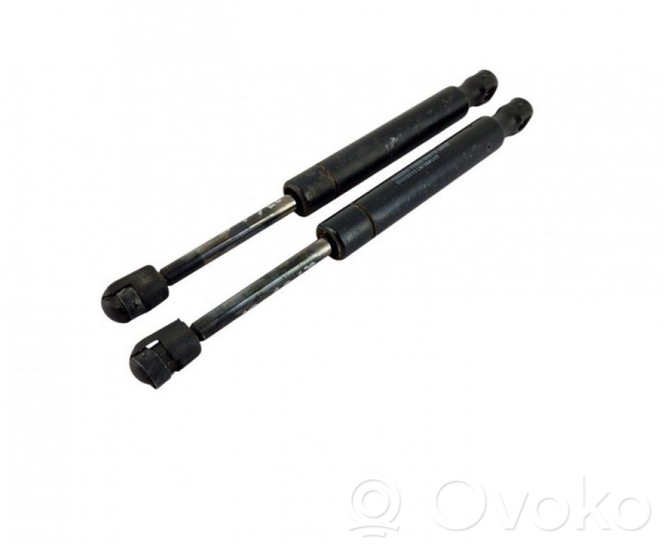 Tailgate/trunk strut/damper   50508010