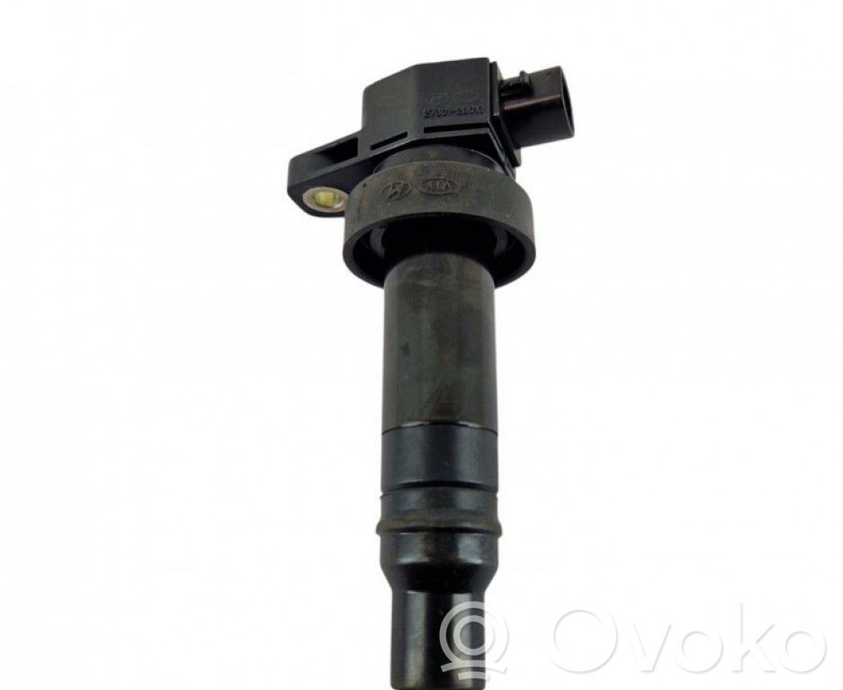 Bobina de encendido de alto voltaje   273012B010