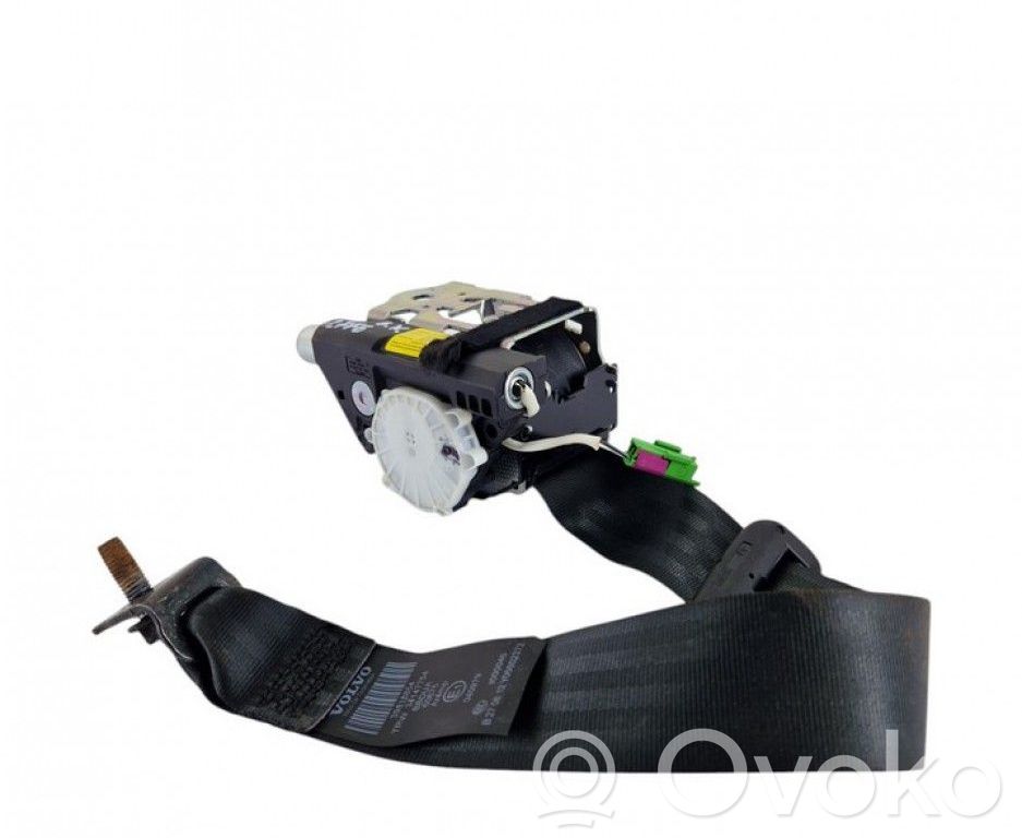 Cinturón trasero   34024990D,34147754,39818854