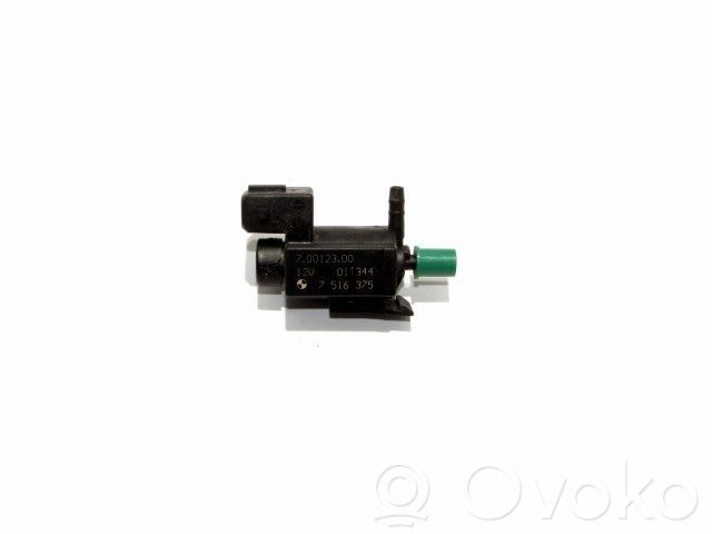 Solenoidinis vožtuvas   70012300,01T344,7516375